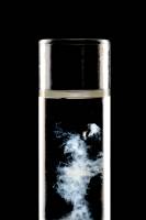 ADN - Mise en évidence (méduse d'ADN)